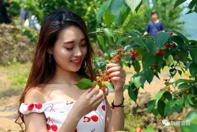 湖北宜昌惊现樱桃女神