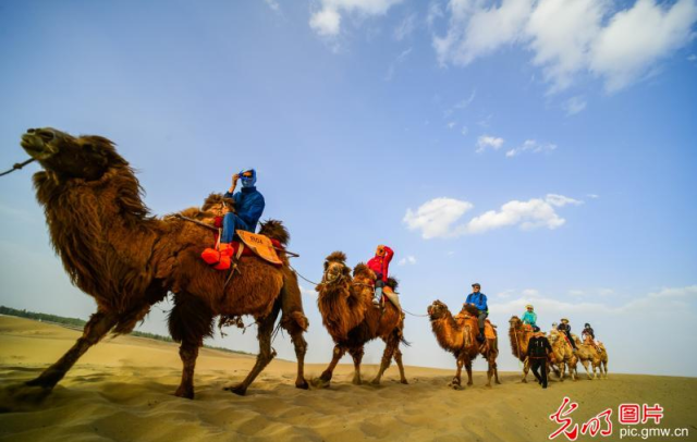 2018年4月29日,游客骑骆驼畅游鸣沙山,体验丝路风情.