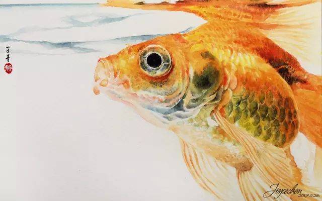她笔下的水彩鱼系列作品 ▼ " 老师有画说 " 和