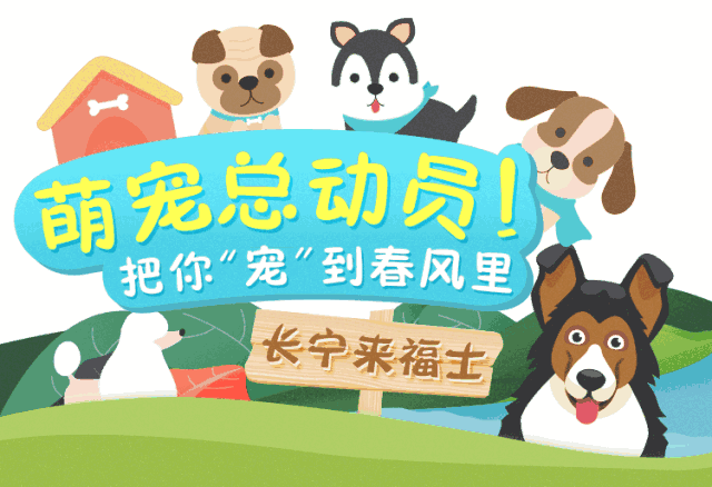 可萌可甜的狗狗等你来撩!