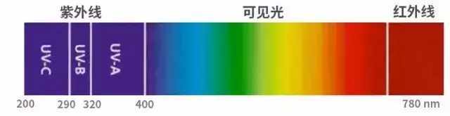 当阳光照射到皮肤上时,其中的紫外线可以穿透到皮肤 4～5 mm 深的