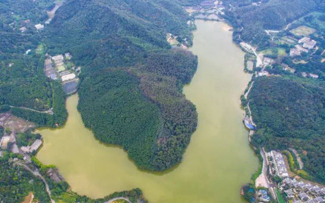 到筲箕窝水库垂钓,徒步d人真系识野 | 五一周边游 ④