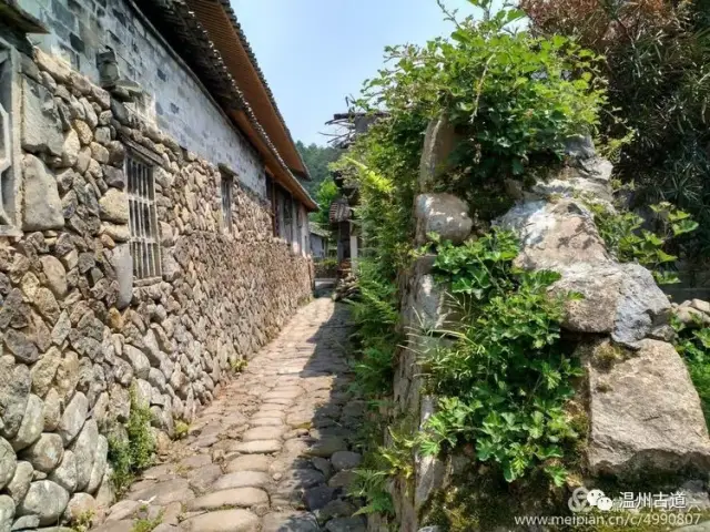 上语录 一个时代的缩影 亦是屿北一道独特的风景 村里各式的石头院墙