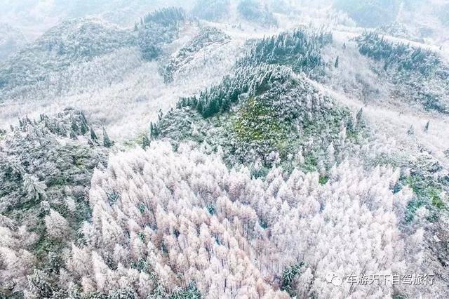 自驾路线:重庆—内环高速—渝湘高速—南川—水江—鱼泉—南川山王坪