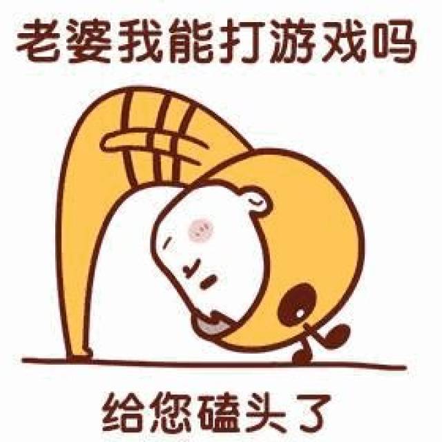 老公老婆日常聊天表情包,情侣必备