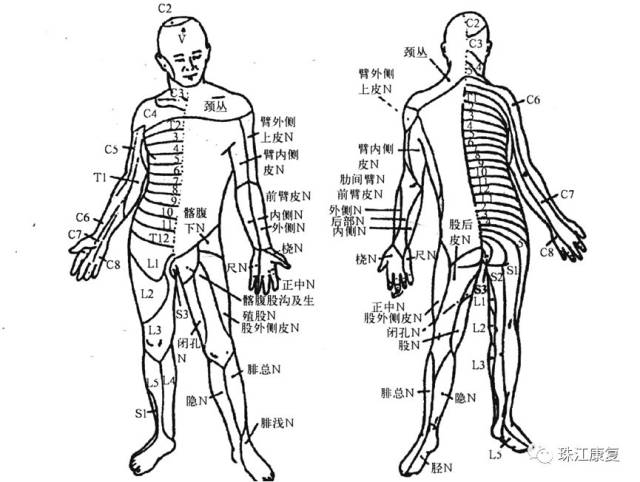 【病例讨论】腰椎椎间融合术后康复