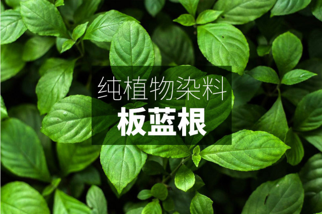 综合来说:凡可制取靛青(即靛蓝)的植物均可成为蓝草, 最常见的蓝染泥