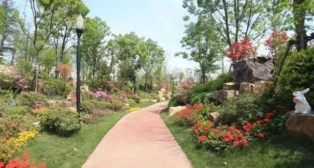 活动招募|仁济南院2018年度浦江郊野公园暴走