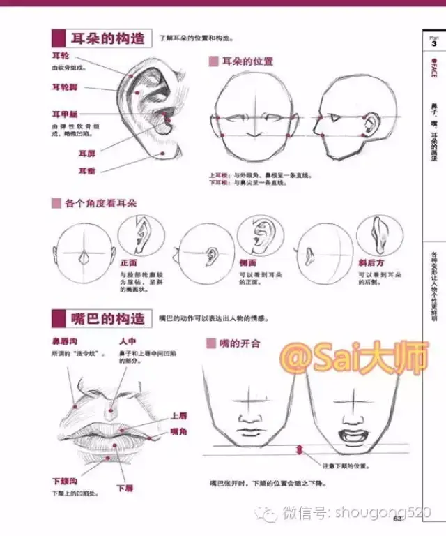 人体五官手绘漫画构造画法详解析,新手必学~真的有帮助