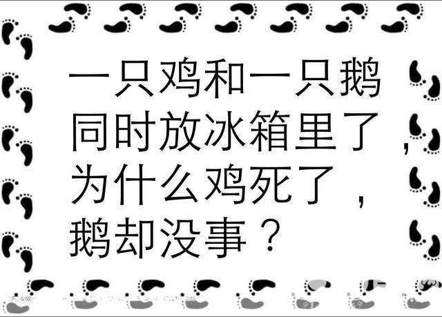 6道脑筋急转弯:答对一半是人才,全答对是精英,你能解出几道?