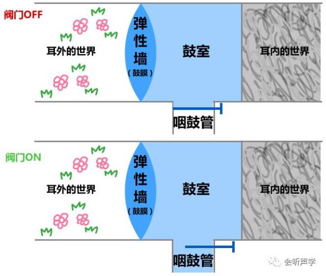 鼓室和我们所在的外部环境之间有一墙(膜)之隔;鼓室和咽鼓管通过阀门