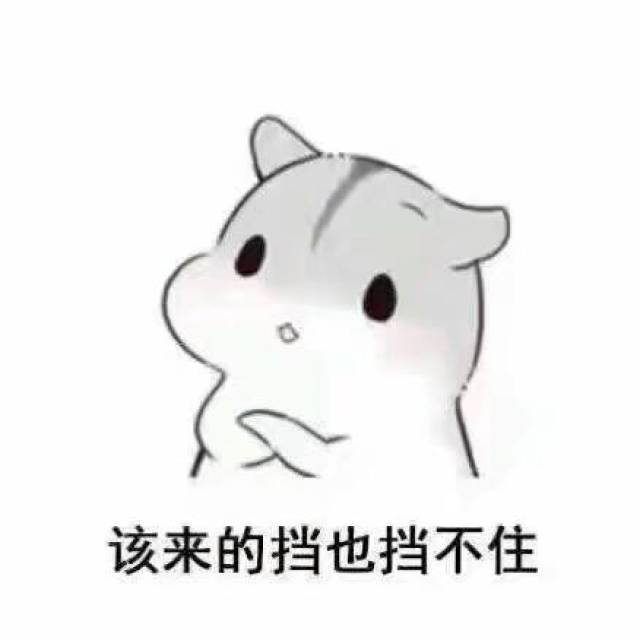 很多网友都有一个印象那就是有很多关于老公老婆的仓鼠表情包,不过