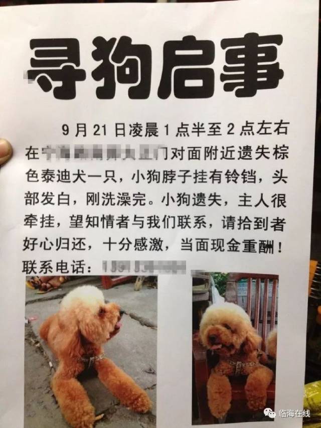 5, 一定要通知周围的宠物医院!