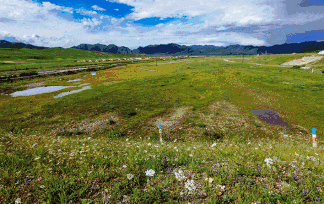 壁纸 草原 桌面 640_404 gif 动态图 动图