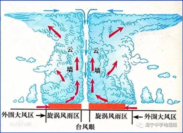 上升,对流上升,地形抬升,锋面抬升),对应的四种常见降水类型(台风雨