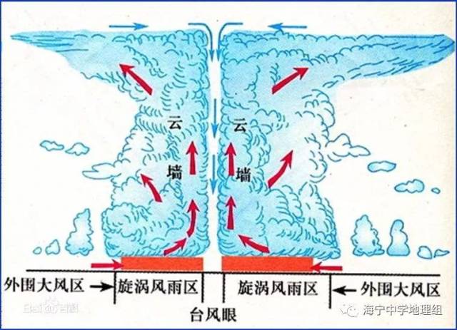 地形抬升,锋面抬升),对应的四种常见降水类型(台风雨,对流雨,地形雨