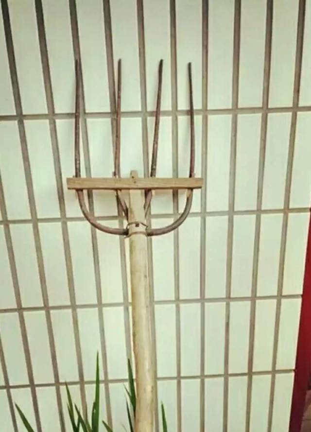 民勤农村最常用的老农具---你还记得几种?