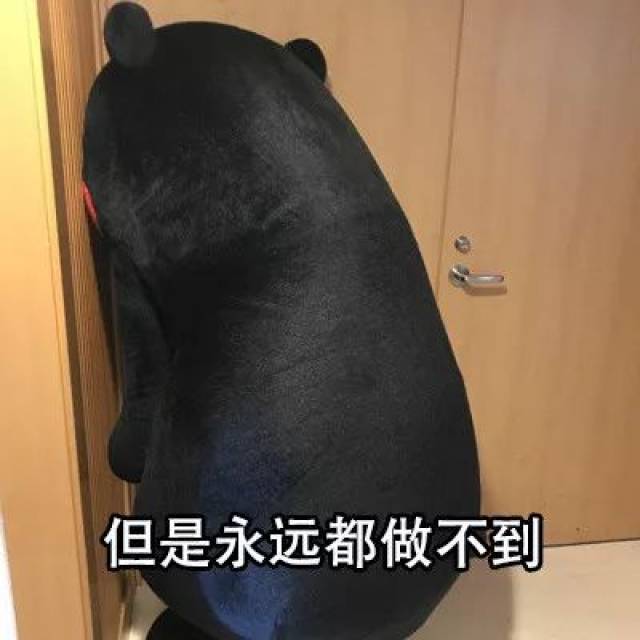 你这么爱立flag,肯定是积极废人吧