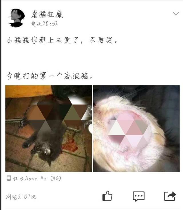 qq空间惊现"虐猫狂魔",网络不是法外之地!