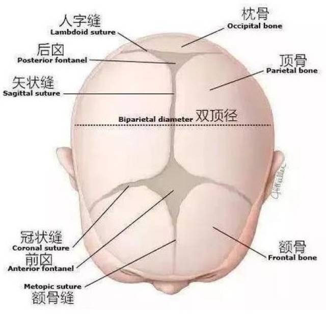 宝宝这些禁区,千万别乱触碰