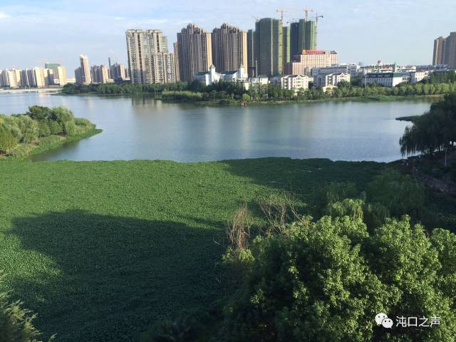 四 三角湖南太子湖都市环湖连绵景观带