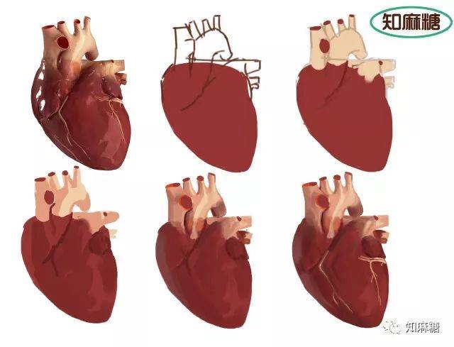 绘画教程—草莓vs心脏