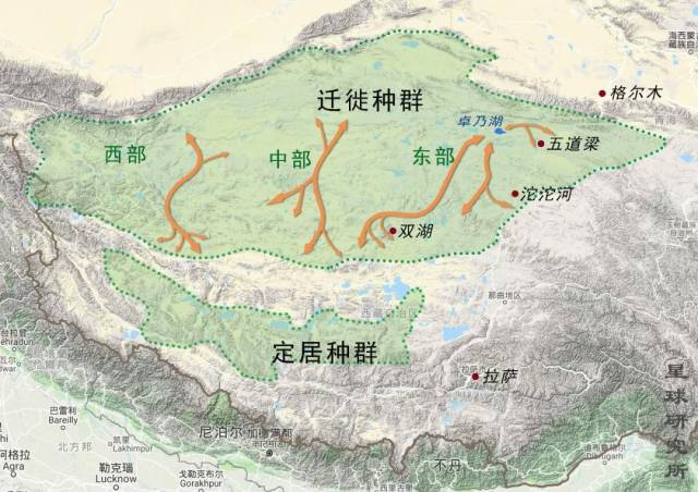 可可西里,中国最伟大的荒野无人区,生命的禁区,只有高原精灵才是真正