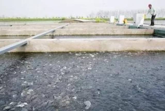 自沉管式微孔增氧技术在水产养殖中的优点及使用方法