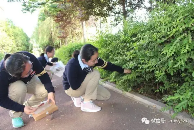 三门峡市育才中学举办市直西部协作区地理"校园寻宝"闯关游戏赛