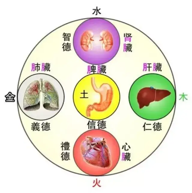 扁鹊五行能量养生床垫提醒女人,你不懂中医五行,擦什么化妆品都没用!