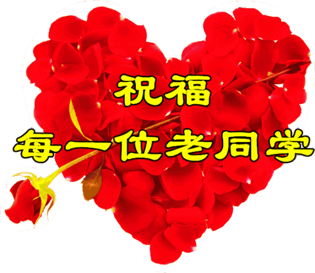 五四青年节!致我的老同学!