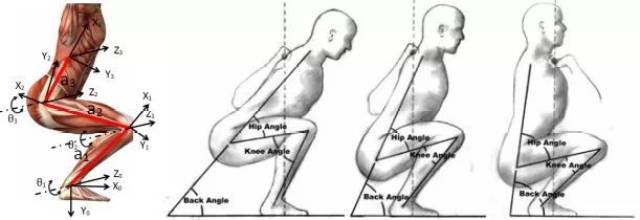 髋屈不够与足背屈受限,从而导致膝关节必须加大屈曲