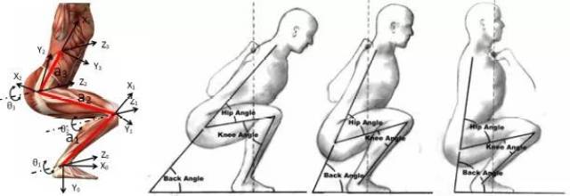 有效避免在完成下蹲的动作时,髋屈不够与足背屈受限,从而导致膝关节