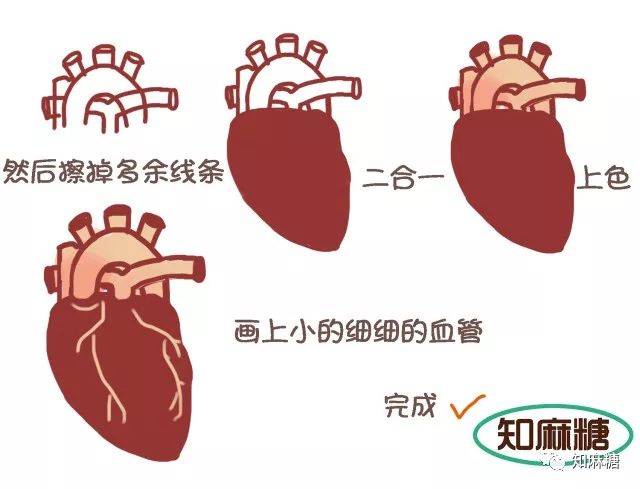 绘画教程—草莓vs心脏