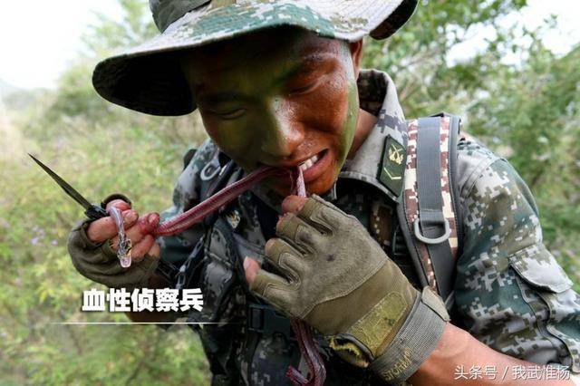 38军侦察兵野外生存生吃蛇肉