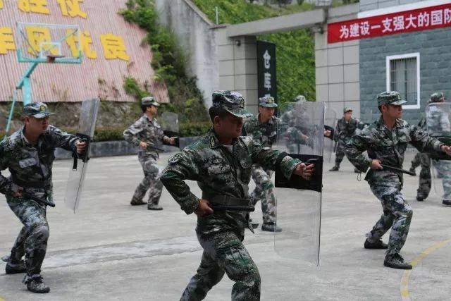 急时应急,战时应战,真枪实弹训练让龙泉民兵应急连的"兵味"浓起来