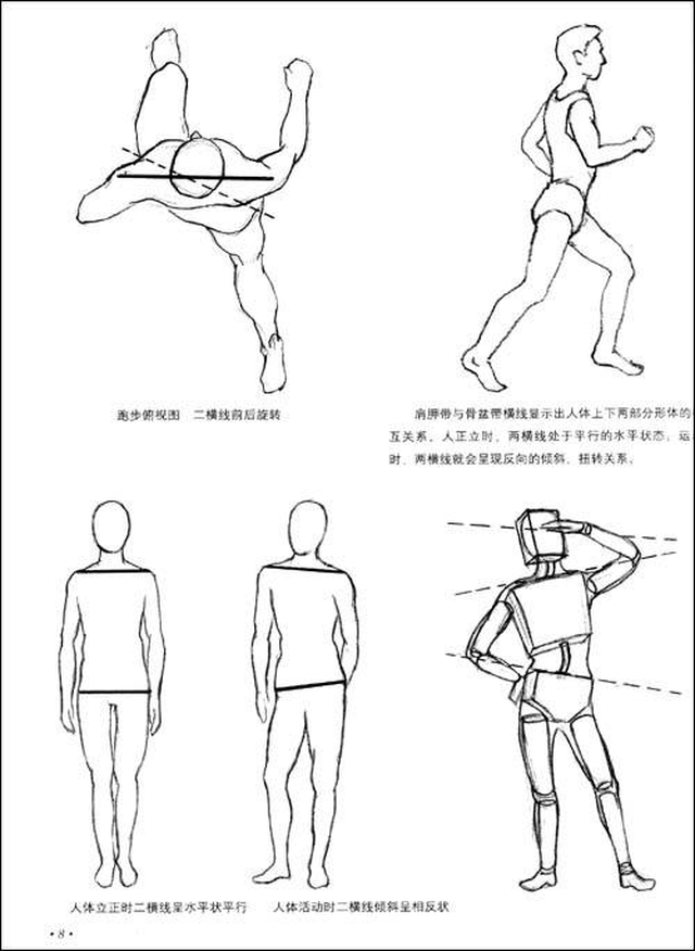 动向线与形体转折主要体现在躯干的动态变化上,而动态线包括四肢在内