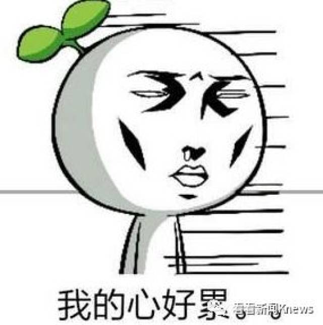 求求你打我吧！男员工排队“逼”女经理扇耳光