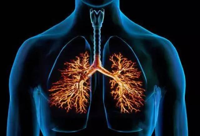 戒烟一周后,肺部的纤毛就开始再生,肺部纤毛是有过滤杂质和预防感染