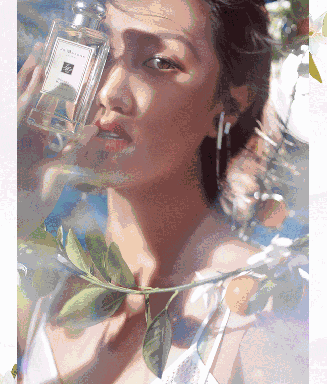 祖马龙 orange blossom