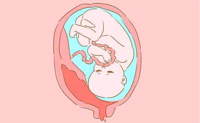 宝宝每天在妈妈肚子里除了睡觉,剩余的时间都在干什么