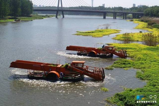 5月3日,河南省周口市沙颖河,两艘水面垃圾清理船在清理河道垃圾和水草