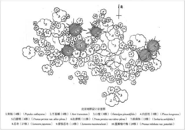 "九株树丛,理想分株为3:6及5:4和2:7,树种最多不要超过四种" "15株