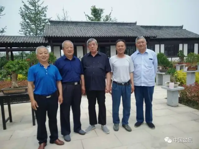 河南中州盆景大师唐庆安的盆景进驻商丘市汉梁文化公园