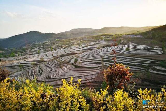 图为陕西省铜川市宜君县宜君旱作梯田.新华网发(杨颖侠摄)