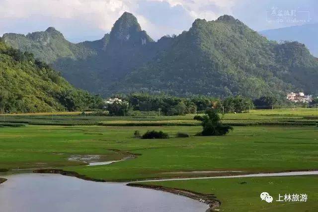 这个大草原,位于上林县西燕镇大龙洞村龙江庄几公里处,隐藏在大山之中