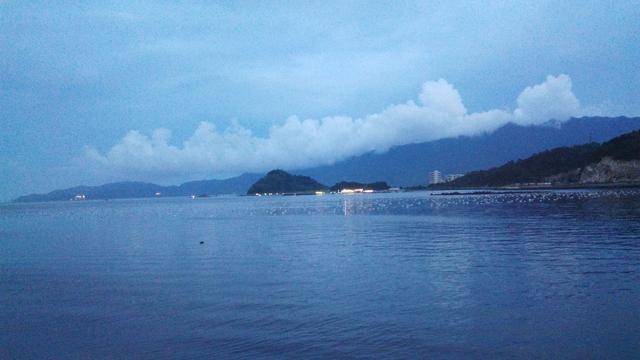 大鹏街道经济总量_大鹏鸟