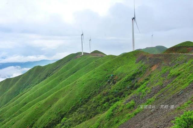 通天山位于临武县城北部, 海拔1650米,相对高差约1300米.