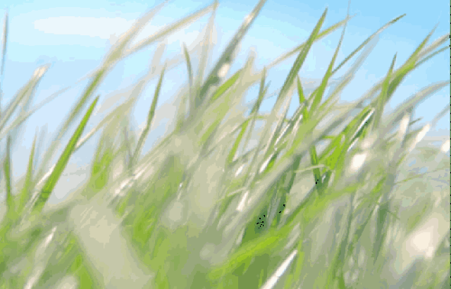 500_320