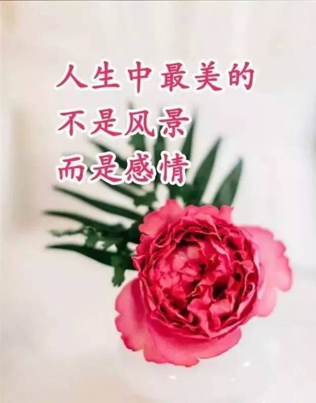 早上好,一首《遇上你是我的缘》太美了,送给思念我的人!